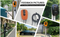 Green Science Wallbox-cargador de pared para coche EV, estación de carga trifásica de 22KW, 32A, CA, EV con OCPP
