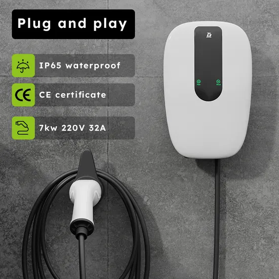 Estación de carga básica EV del cargador EV de 7kw 32A para la función de la aplicación de la tarjeta RFID del uso doméstico del coche eléctrico