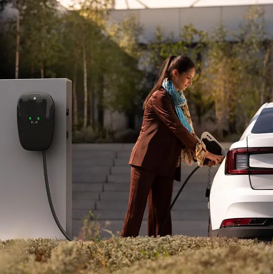 Cargador doméstico EV Plug and Play de 7 kilovatios IP 65